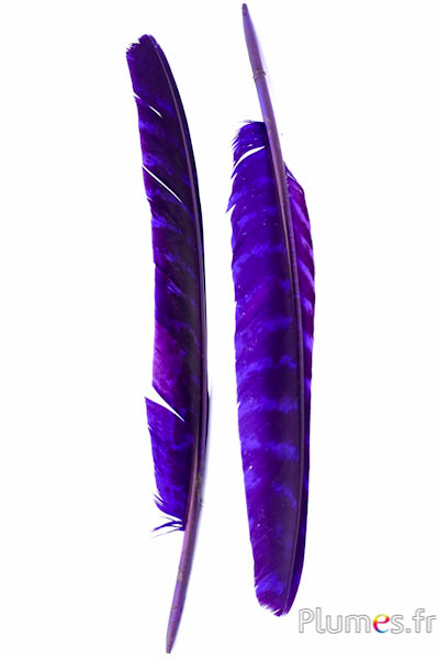 Dindon bronze - 33-38 cm - violet-noir 